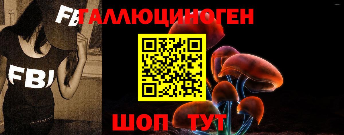 Галлюциногенные грибы мухоморы Мирный